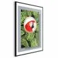 Plakat Papuga w dżungli 21x30 cm z ramą czarną z marginesem | MIRAT.