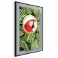 Plakat Papuga w dżungli 60x90 cm z ramą czarną bez marginesu | MIRAT.