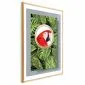 Plakat Papuga w dżungli 21x30 cm z ramą złotą z marginesem | MIRAT.
