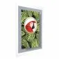 Plakat Papuga w dżungli 60x90 cm bez ramy z marginesem | MIRAT.