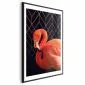 Plakat Flaming solo 21x30 cm z ramą czarną z marginesem