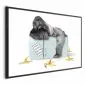 Plakat Głodny goryl 42x29,7 cm z ramą czarną bez marginesu | MIRAT.