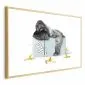 Plakat Głodny goryl 30x21 cm z ramą złotą z marginesem | MIRAT.