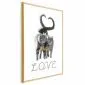 Plakat Fluffy Love 21x30 cm z ramą złotą bez marginesu