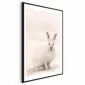 Plakat Strachliwe spojrzenie 60x90 cm z ramą czarną z marginesem | MIRAT.