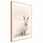 Plakat Strachliwe spojrzenie 60x90 cm z ramą złotą z marginesem | MIRAT.
