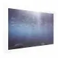 Plakat Rybki w głębinach 30x21 cm bez ramy z marginesem | MIRAT.