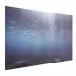 Plakat Rybki w głębinach 42x29,7 cm bez ramy bez marginesu | MIRAT.