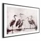 Plakat Malowane czaple 42x29,7 cm z ramą czarną z marginesem | MIRAT.