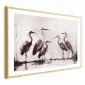 Plakat Malowane czaple 60x40 cm z ramą złotą z marginesem | MIRAT.