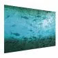Plakat Gromada ryb 42x29,7 cm bez ramy bez marginesu | MIRAT.