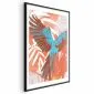 Plakat Egzotyczne skrzydła 40x60 cm z ramą czarną z marginesem | MIRAT.