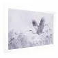 Plakat Majestatyczny lot 30x21 cm bez ramy z marginesem | MIRAT.