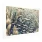 Plakat Oceaniczna przyroda 60x40 cm bez ramy z marginesem | MIRAT.