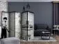 Parawan dwustronny Street art 225x172 cm 5-częściowy czarny | MIRAT.