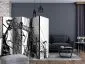 Parawan dwustronny Ludzie 225x172 cm 5-częściowy czarny | MIRAT.