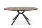 Stół LOCARNO 170x90 orzech/czarny owalny firmy Halmar | MIRAT. styl LOFT