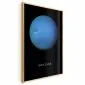 Plakat Neptun 29,7x42 cm z ramą złotą bez marginesu | MIRAT.