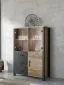 Witryna OLIN 3D3S appenzeller/czarna I sklep meblowy MIRAT. styl LOFT kolekcja OLIN