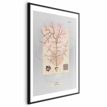 Plakat Tajemnicze drzewko 29,7x42 cm z ramą czarną z marginesem