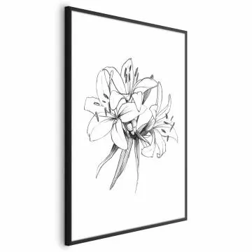 Plakat Rysowane kwiaty 29,7x42 cm z ramą czarną bez marginesu