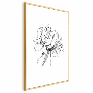 Plakat Rysowane kwiaty 29,7x42 cm z ramą złotą z marginesem