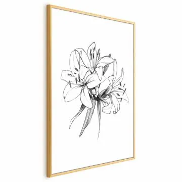Plakat Rysowane kwiaty 21x30 cm z ramą złotą bez marginesu