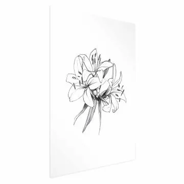 Plakat Rysowane kwiaty 60x90 cm bez ramy z marginesem