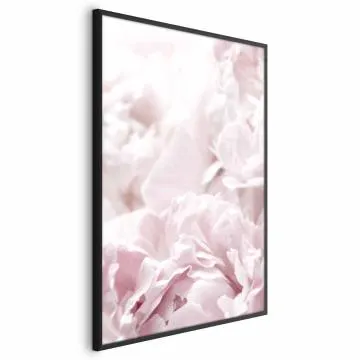 Plakat Puszyste peonie 60x90 cm z ramą czarną bez marginesu