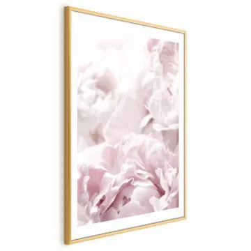 Plakat Puszyste peonie 60x90 cm z ramą złotą z marginesem