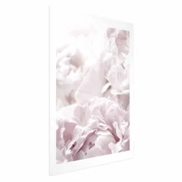 Plakat Puszyste peonie 40x60 cm bez ramy z marginesem