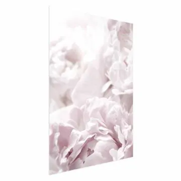 Plakat Puszyste peonie 60x90 cm bez ramy bez marginesu
