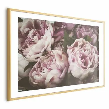 Plakat Różowe piwonie 42x29,7 cm z ramą złotą z marginesem