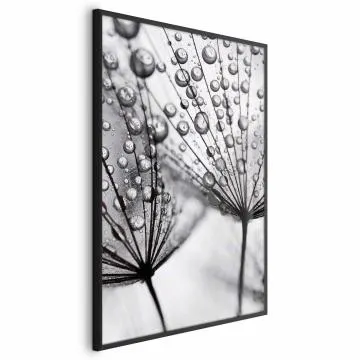 Plakat Rosa 60x90 cm z ramą czarną bez marginesu