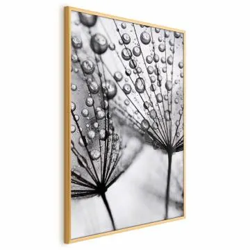 Plakat Rosa 60x90 cm z ramą złotą bez marginesu