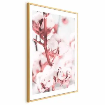 Plakat Bawełna 40x60 cm z ramą złotą z marginesem