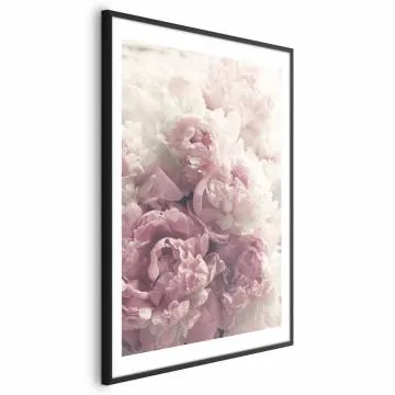 Plakat Delikatne piwonie 60x90 cm z ramą czarną z marginesem