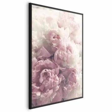 Plakat Delikatne piwonie 60x90 cm z ramą czarną bez marginesu