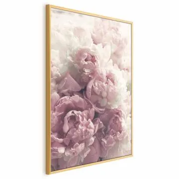 Plakat Delikatne piwonie 40x60 cm z ramą złotą bez marginesu