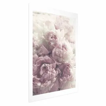 Plakat Delikatne piwonie 60x90 cm bez ramy z marginesem