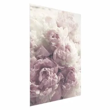 Plakat Delikatne piwonie 60x90 cm bez ramy bez marginesu