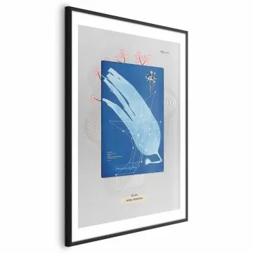 Plakat Glon 40x60 cm z ramą czarną z marginesem