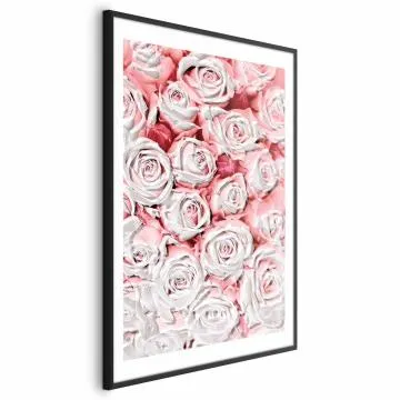 Plakat Białe róże 40x60 cm z ramą czarną z marginesem