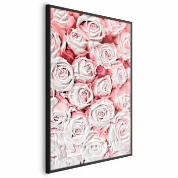 Plakat Białe róże 60x90 cm z ramą czarną bez marginesu