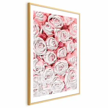 Plakat Białe róże 40x60 cm z ramą złotą z marginesem