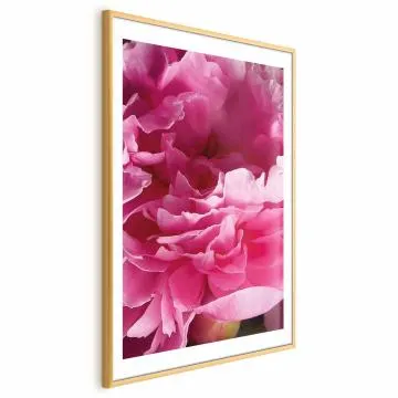 Plakat Piękne piwonie 29,7x42 cm z ramą złotą z marginesem