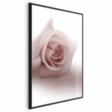 Plakat Różany cień 60x90 cm z ramą czarną bez marginesu