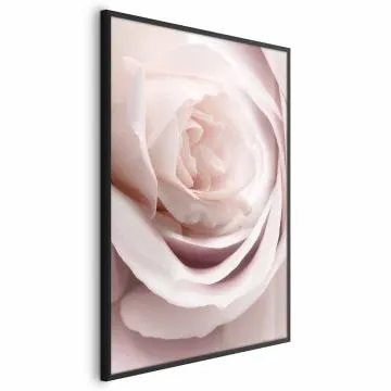 Plakat Porcelanowa róża 21x30 cm z ramą czarną bez marginesu