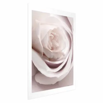 Plakat Porcelanowa róża 29,7x42 cm bez ramy z marginesem
