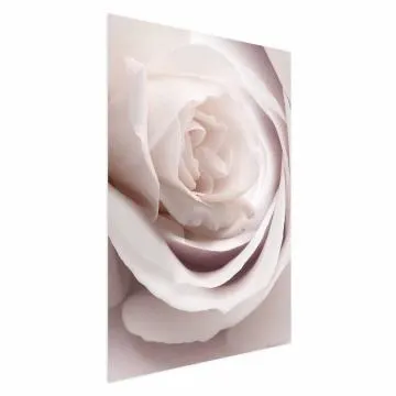 Plakat Porcelanowa róża 29,7x42 cm bez ramy bez marginesu